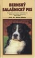 Bernský salašnický pes