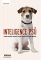  Inteligence psů