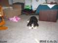 /album/brixie-13-tyden/brixie-120309-01-jpg/