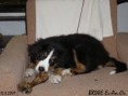 /album/brixie-13-tyden/brixie-120309-02-jpg/