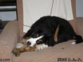 /album/brixie-13-tyden/brixie-120309-03-jpg/